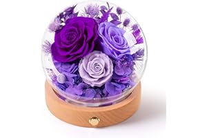 Agrul Mothers Day Flowers Gifts for Mom,Forever Preserved Roses in Glass Dome,Roses Gifts for Wife Grandma Women Daughter Mother in Law Gift./Purple