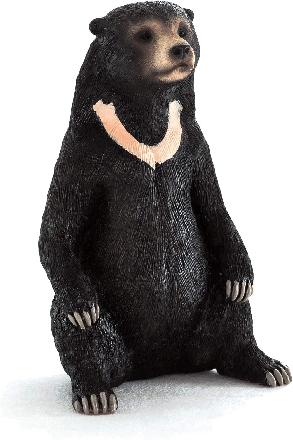 MOJO - Sun Bear, Mixed, Small