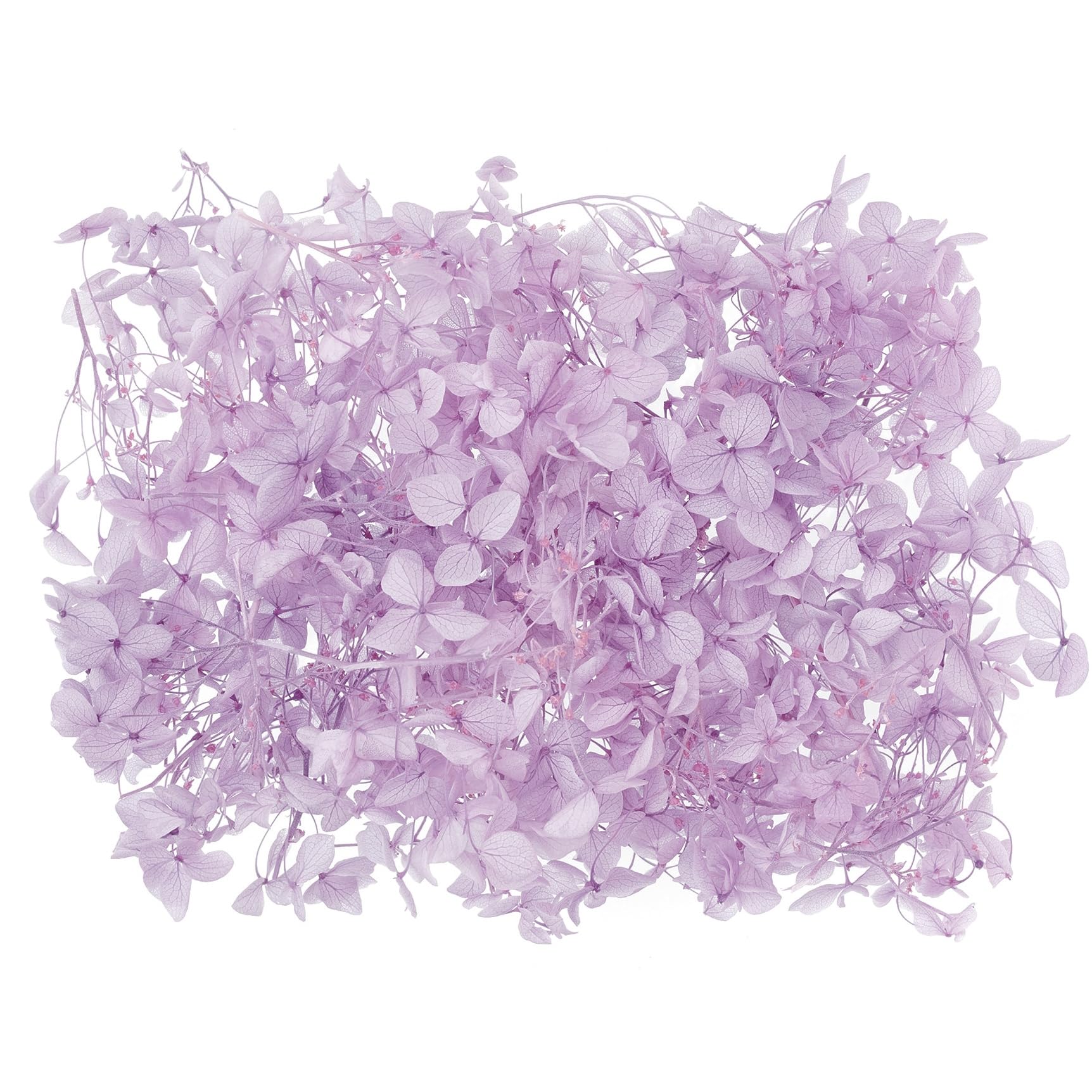 The Baked Studio - Original Dried Flower Hydrangea Set For Cake & Cupcake Decorating & Others Crafts (Lilac)