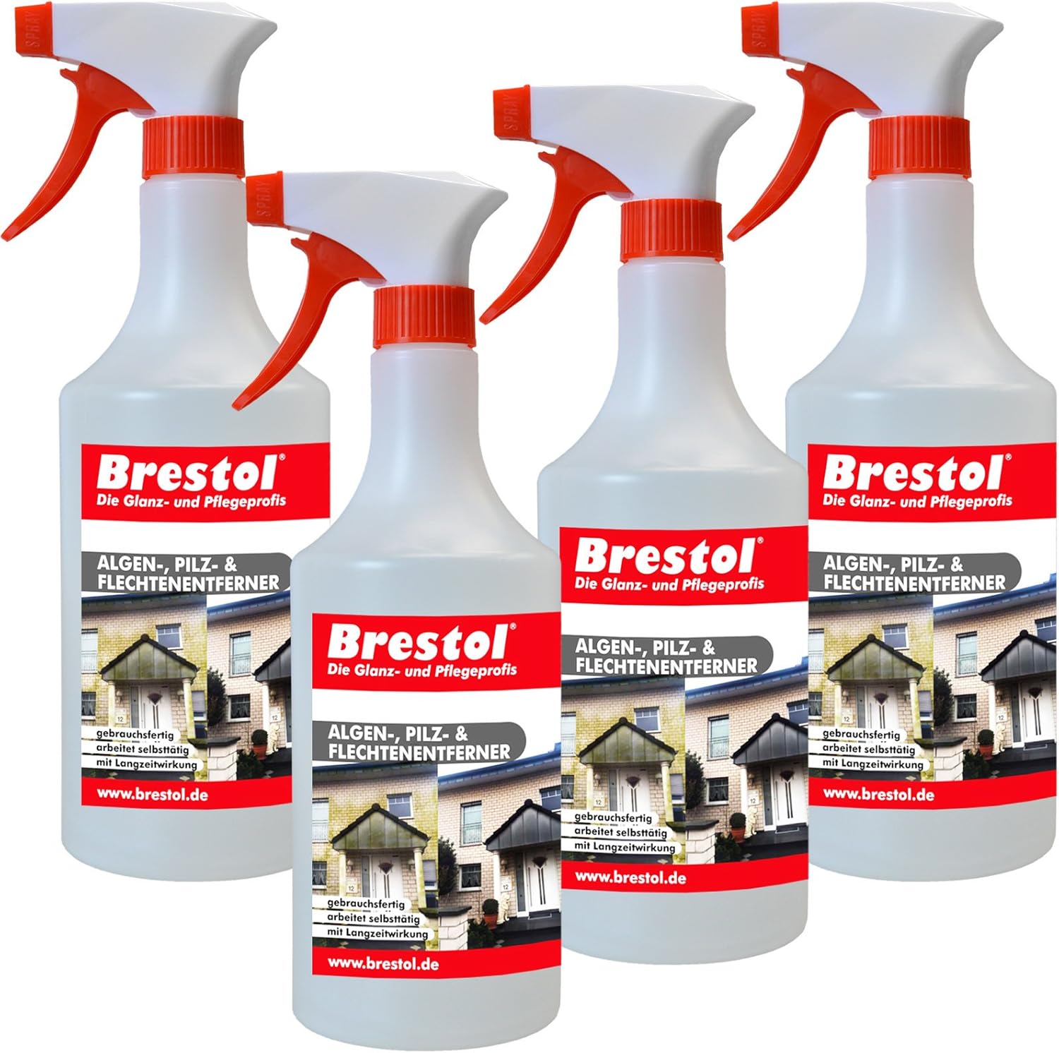 Brestol Algenentferner Pilzentferner Flechtenentferner 4X 750 ml gebrauchsfertig - Grünbelagsentferner Grabsteinpflege Moosentferner Algizid Algicid Algenex Algenvernichter Algenkiller