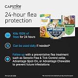 Capstar Flea Tablets for Dogs 57 mg Medium to Large 11.5-57 kg view 4