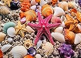 HUADADA Jigsaw Puzzles for Adults 1000