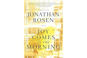 Joy Comes in the Morning: A Novel
