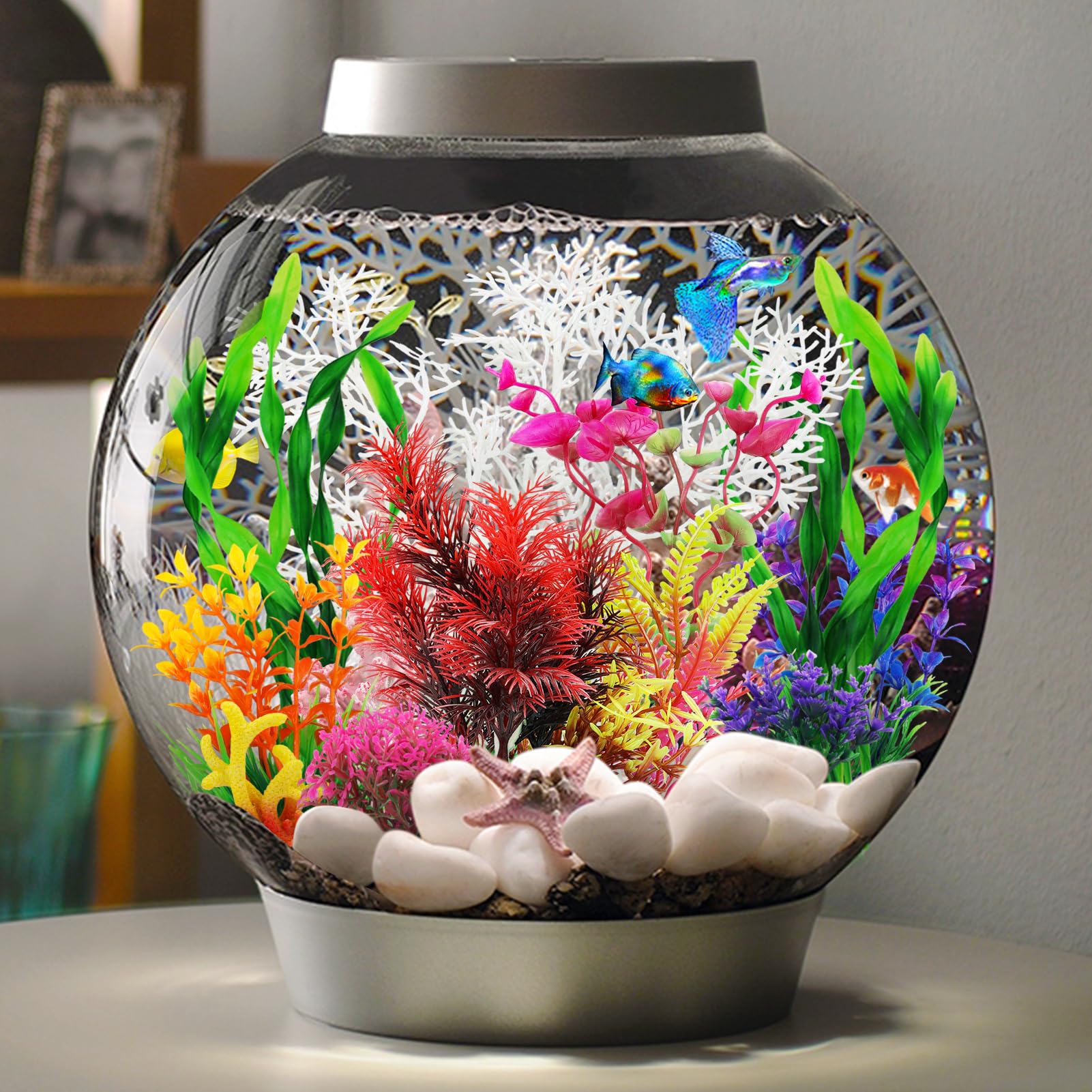 View 4