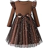 Toddler Girl Long Sleeve Tulle Dress 1-5 Years