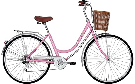 womens dutch style bike