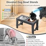 Aystkniet Raised Dog Bowls with Stand, 5-Height Adjustable 8–35 cm view 4