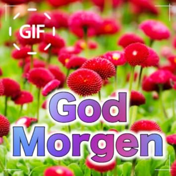 Amazon Com Norwegian Good Morning Good Day Gifs Images Appstore