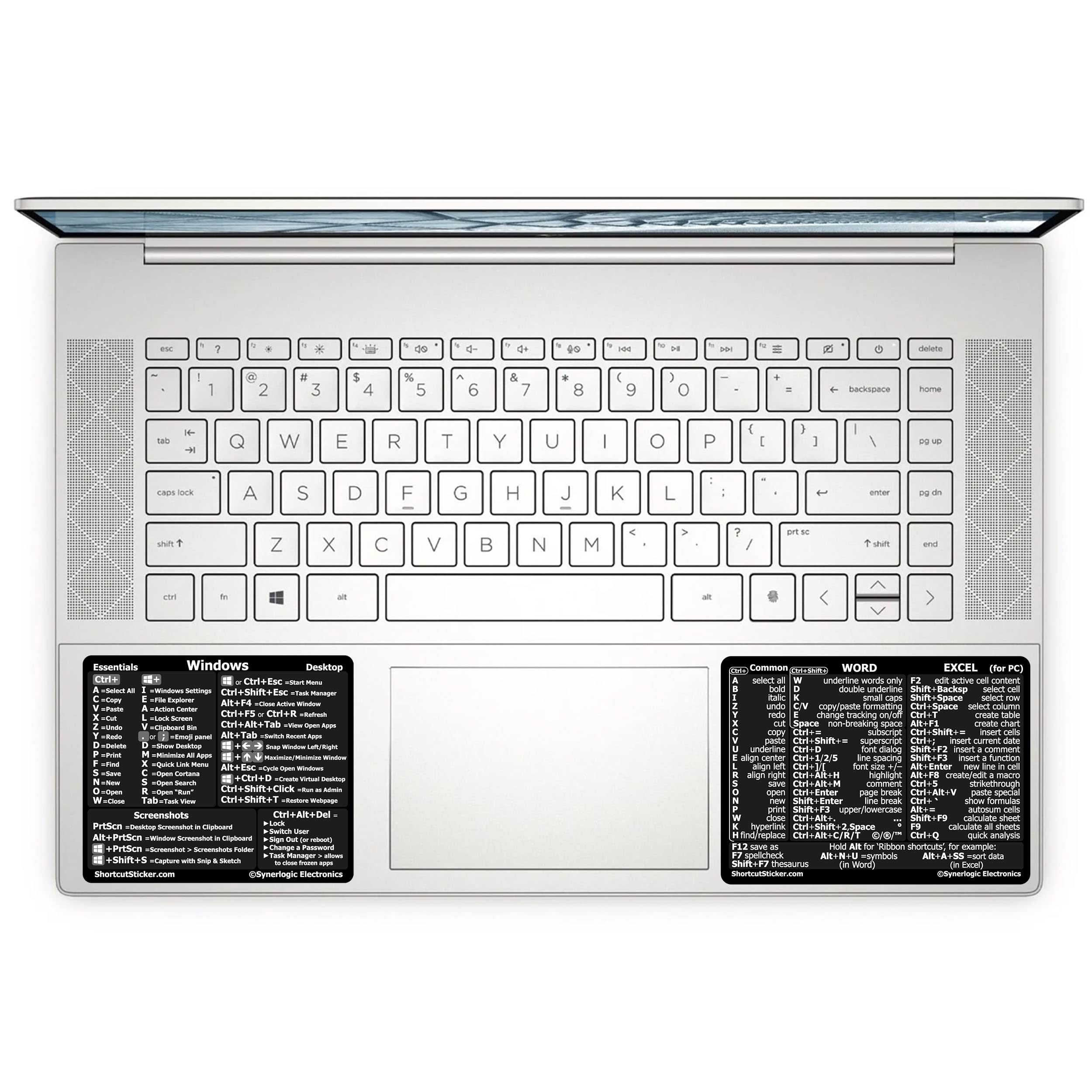 SYNERLOGIC Windows + Word/Excel (for Windows) Quick