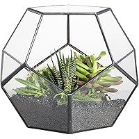 NCYP Small Geometric Glass Terrarium - 17.5 x 17.5 x 15 cm Ball Shape Open Planter Pot for Small Succulents Plants, Home Gard