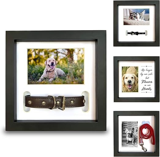 dog memorial with collar