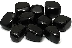 GEOFOSSILS Black Obsidian Tumble Stone (20-25mm)