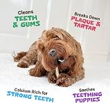Pets Purest Himalayan Yak Milk Chew Large - Natural Dental Dog Treat view 4