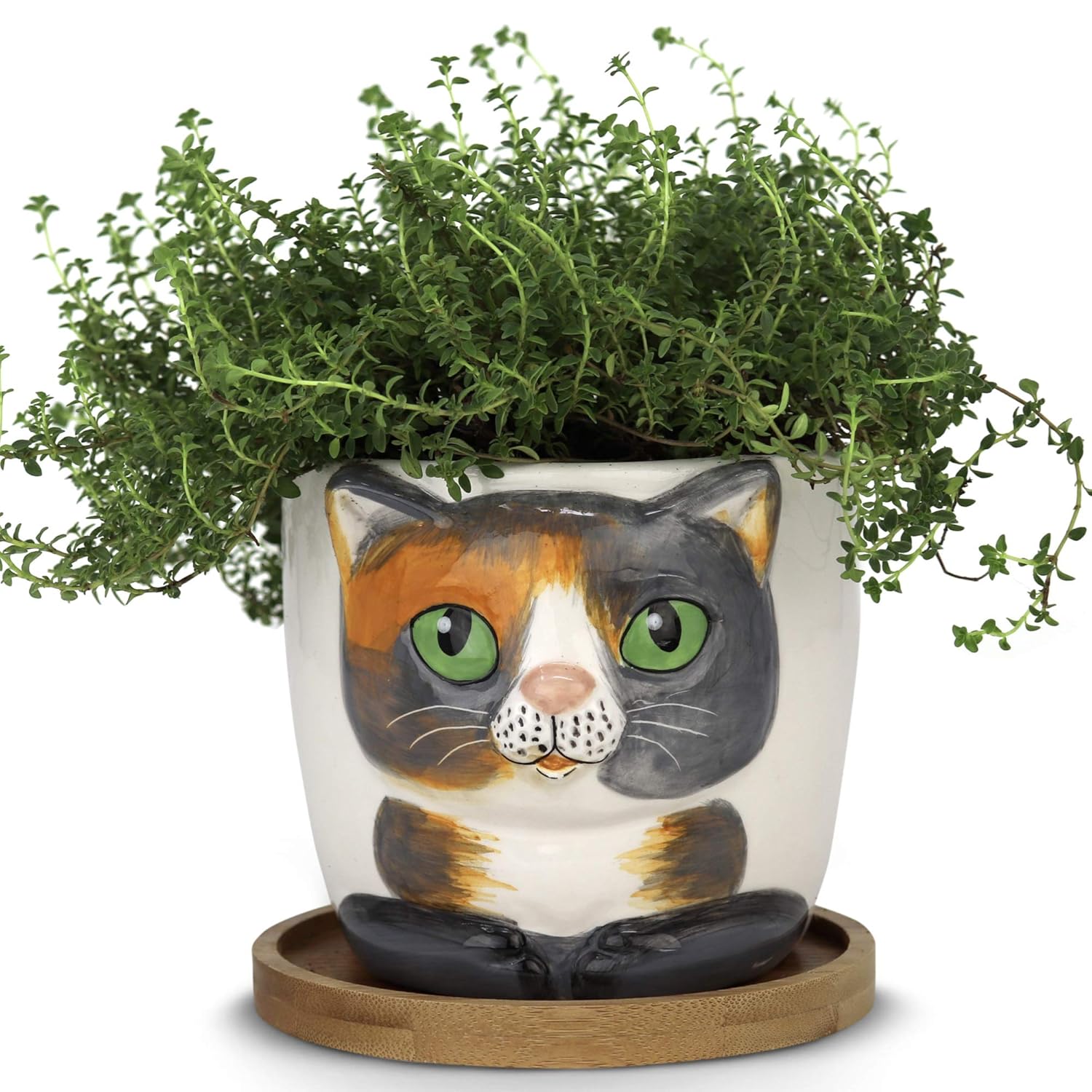 Window Garden – New Large Kitty Pot (Barney) – Purrfect for Indoor Live House Plants, Like Succulents, Flowers and Herbs. Top Quality, Super Cute Planter Gift for Cat Lovers, Office, Christmas.