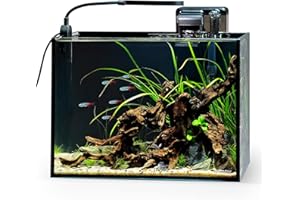 NICREW Nano Nature Aquarium Kit, 2.5 Gallon, Basic Version, Ultra-Clear Rimless Desktop Fish Tank with Filter, Light and Star