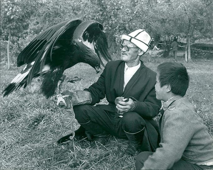 Amazoncom Vintage Photo Of Golden Eagle In Krygyzstan