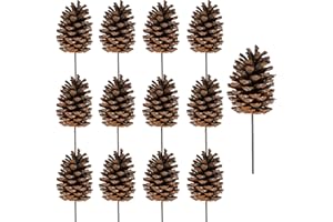 Winlyn 12 Pcs Natural Pine Cone Picks Christmas Pinecone Sprays Medium Pinecones Picks with Wired Stems 8.3" Tall for Xmas Tree Holiday Seasonal Wreath Floral Arrangements Winter Rustic Wedding Décor