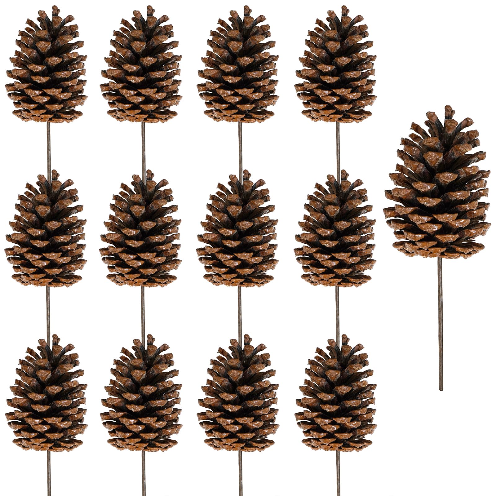 Photo 1 of Winlyn 12 Pcs Natural Pine Cone Picks Christmas Pinecone Sprays Medium Pinecones Picks with Wired Stems 8.3" Tall for Xmas Tree Holiday Seasonal Wreath Floral Arrangements Winter Rustic Wedding Décor