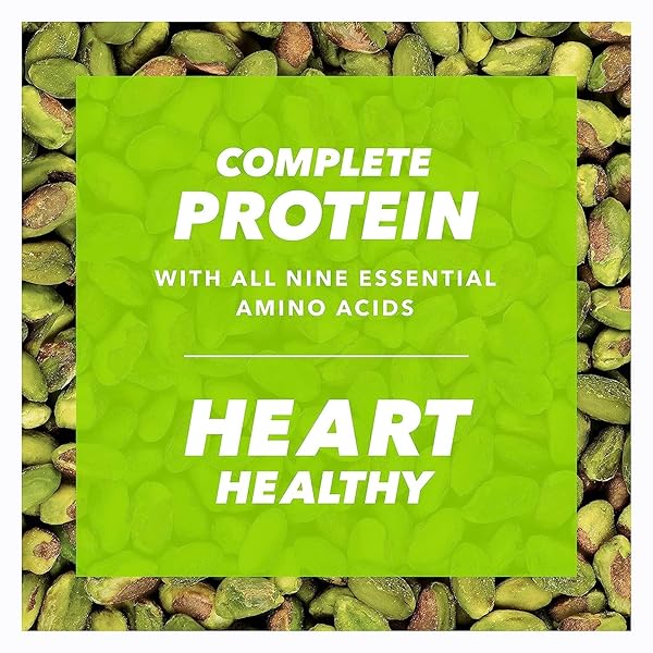 WONDERFUL PISTACHIOS NO SHELLS, ROASTED & SALTED NUTS, 0.75 OUNCE BAG (PACK OF 9), PROTEIN SNACKS, GLUTEN FREE, ON-THE-GO, INDIVIDUALLY WRAPPED SNACKS