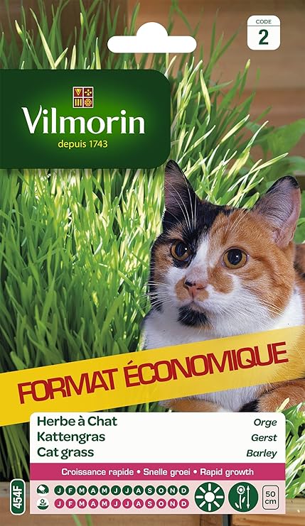 Vilmorin Herbe A Chat Orge Vert 11 X 1 5 X 19 Cm Amazon Fr Jardin Vilmorin Herbe A Chat Orge Vert 11 X 1 5 X 19 Cm Amazon Fr Jardin