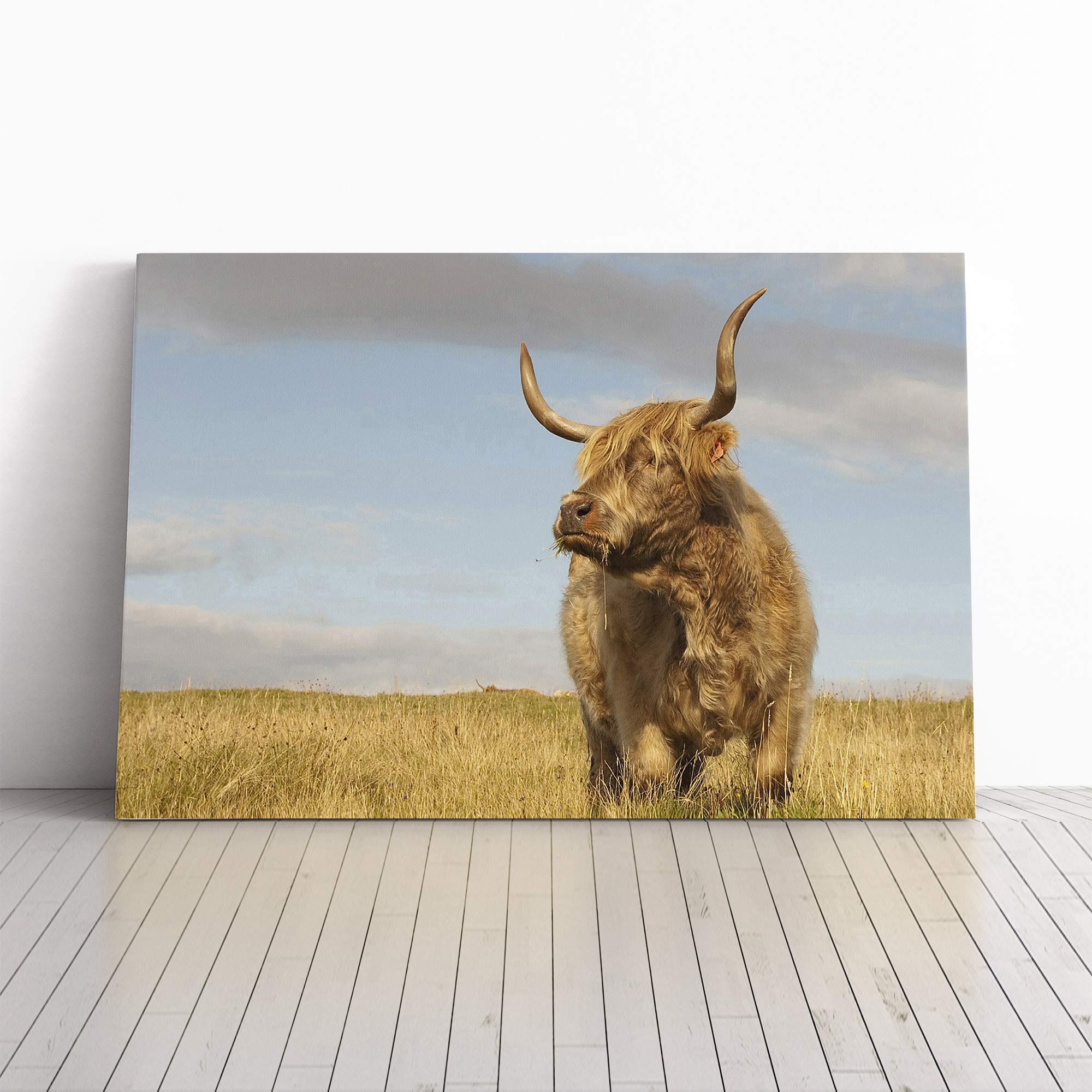 Cow Vol.4 Canvas Print | Gallery Wrapped 30mm Frame Wall Art | 20x14 inches | Ready to Hang | Modern Animals Picture | Living Room Bedroom Lounge Office