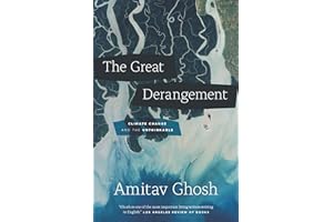 The Great Derangement: Climate Change and the Unthinkable (Berlin Family Lectures)