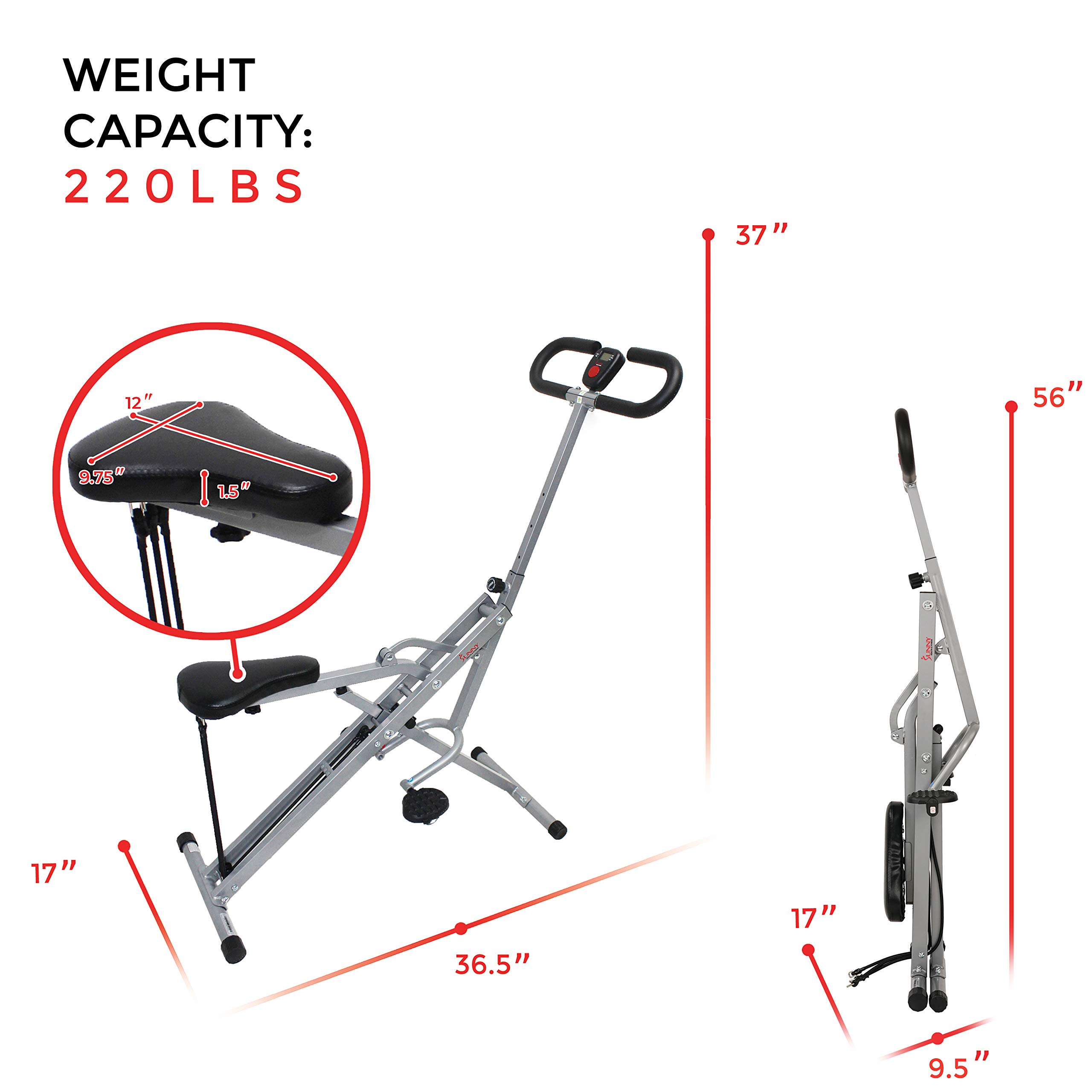 sunny row and ride workouts
