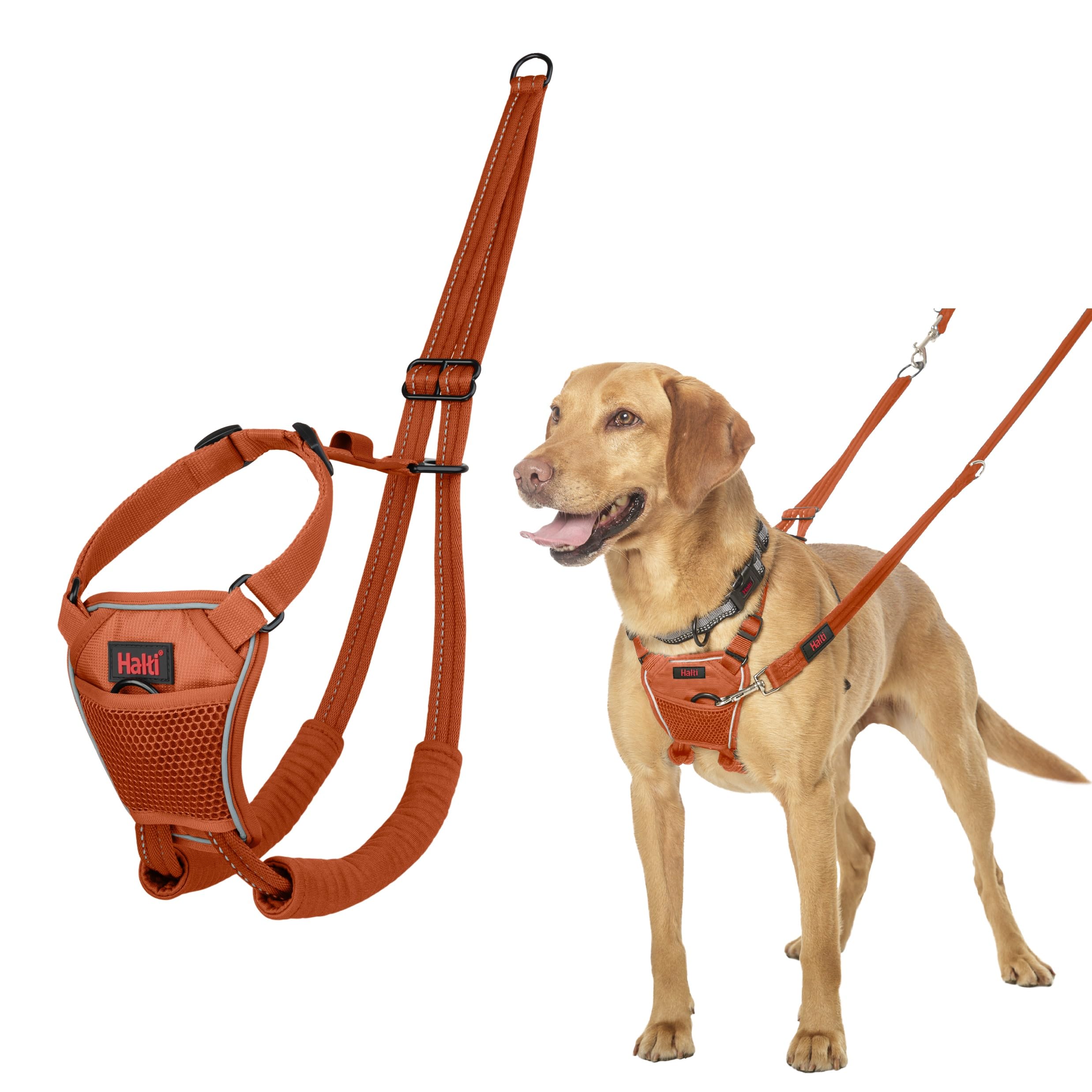 Halti No Pull Harness – Stop Your Dog Pulling on The Leash. Adjustable, Lightweight and Easy to Use. Reflective Dog Training Harness for Medium Dogs (Size M, Burnt Orange)