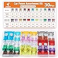 JOREST 30Pcs Mini & Standard Car Fuse Assortment Kit, 15 Mini Blade Fuses Automotive + 15Standard Auto Fuses - for Car/RV/Truck/Motorcycle(2Amp 3A 5A 7.5A 10A 15A 20A 25A 30A 35A 40A)