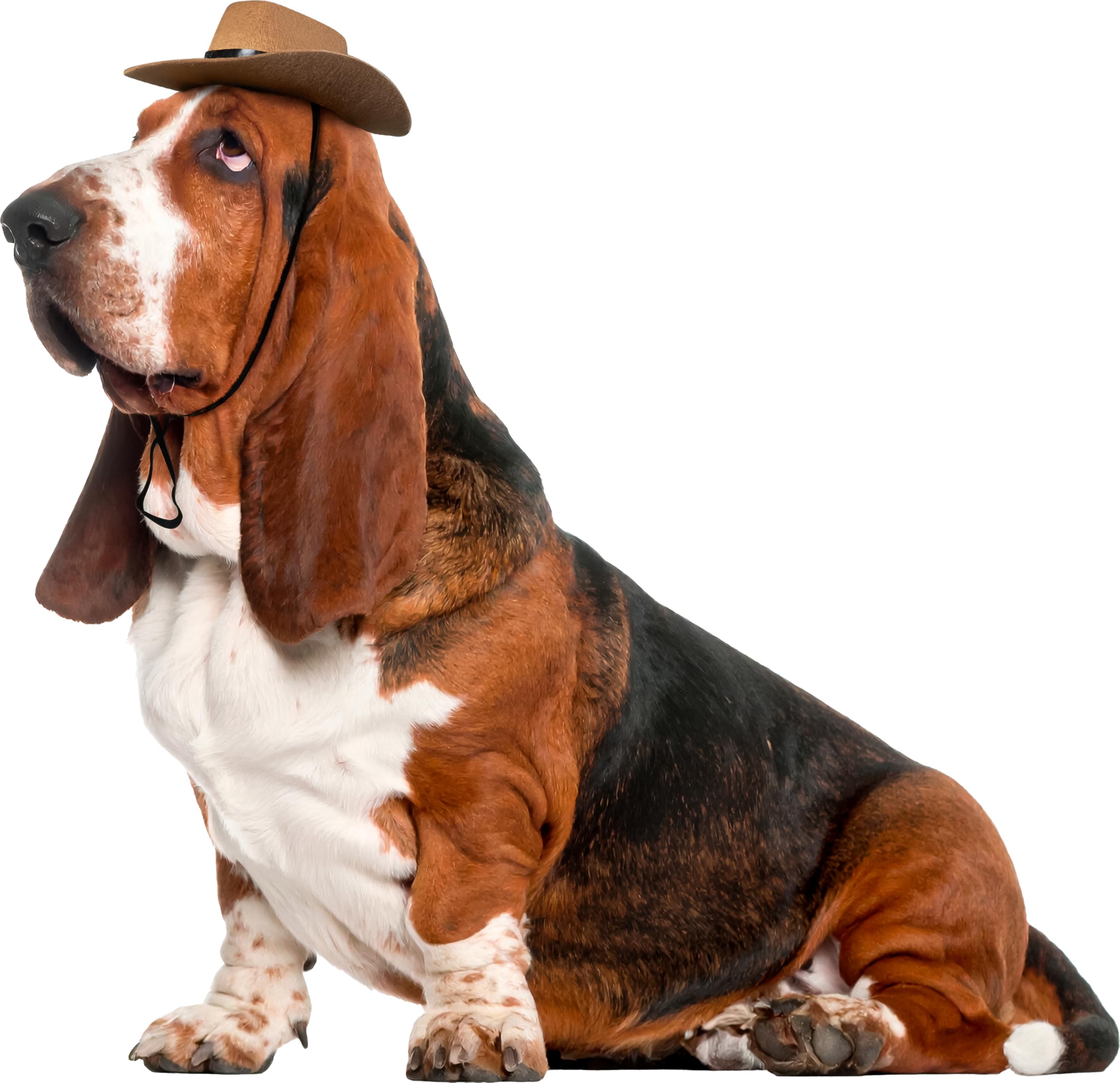 Rubies Official Pet Dog Costume, Cowboy Hat - Small to Medium Halloween