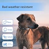 PcEoTllar Light Up Dog Collar USB Rechargeable 8 Modes 7 Colors Waterproof view 7