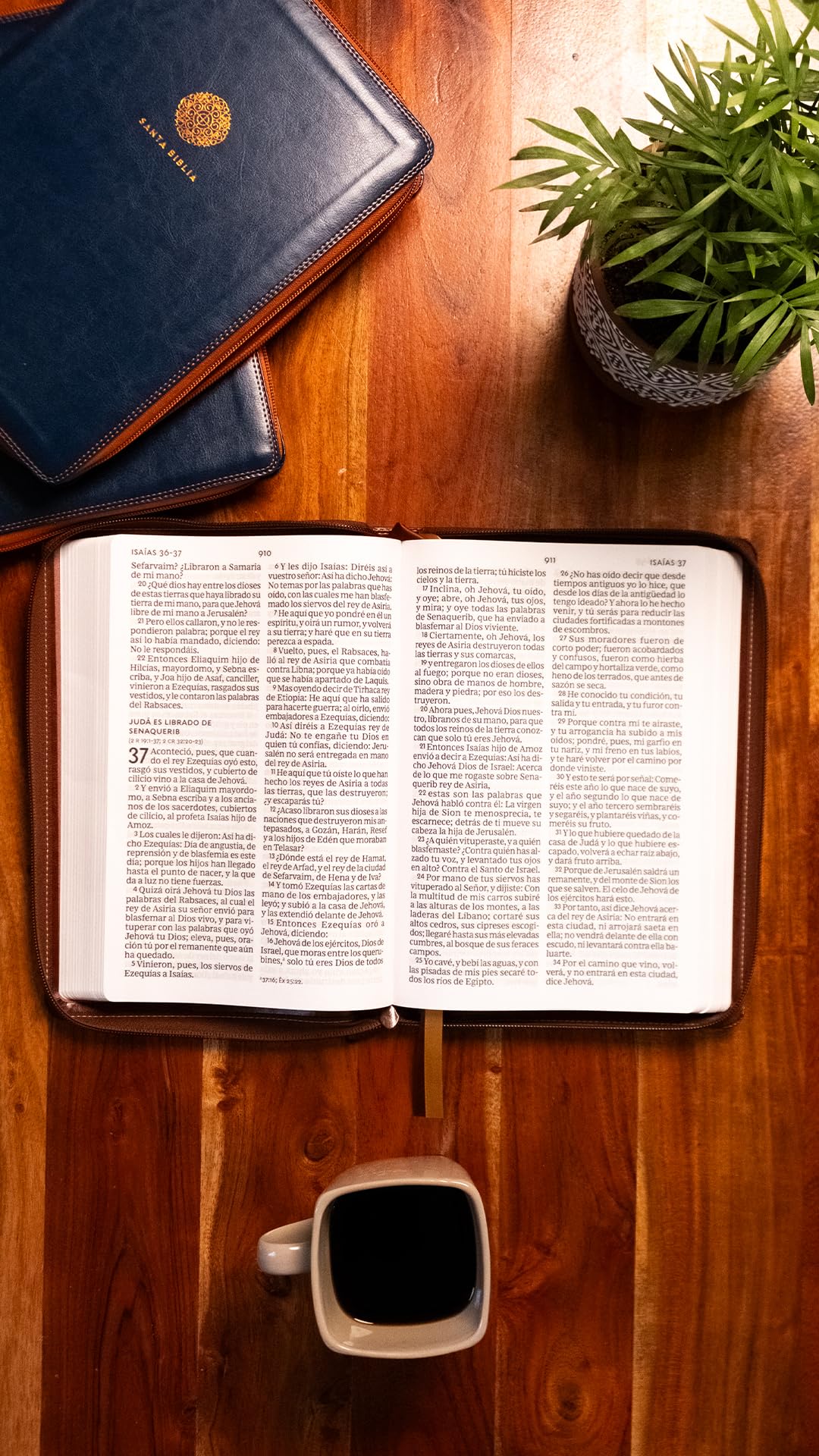 RVR60, Santa Biblia, Letra Supergigante, Leathersoft, Café, con Cierre, Comfort Print (Spanish Edition)