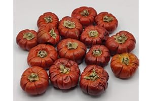 SEEPER On The Bright Side Dried Pumpinos, Mini Pumpkins, Unscented, Decorative Dried Fruit, Potpourri, 15-18 in a Bag, 4 oz