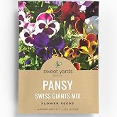 Pansy Swiss Giants Mix - Large 1,500mg Envelope - 1,100 Flower Seeds for Planting - Viola &times; wittrockiana