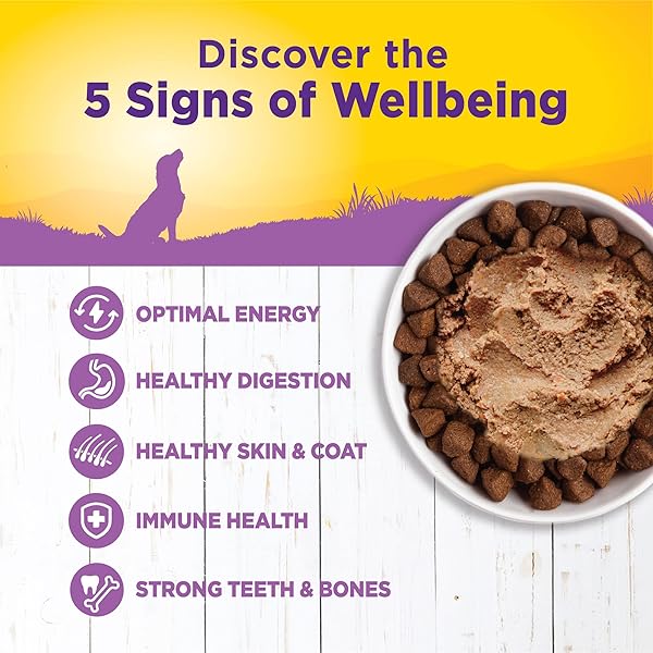 WELLNESS COMPLETE HEALTH NATURAL WET CANNED DOG FOOD, AGE ADVANTAGE CHICKEN & SWEET POTATO, 12.5-OUNCE CAN (PACK OF 12)