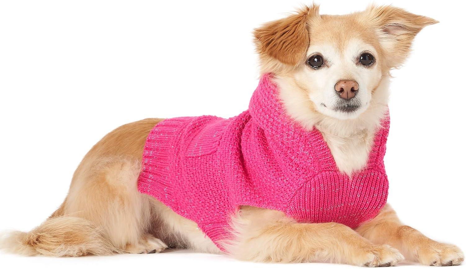 friends forever dog jacket