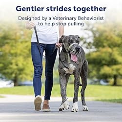 PetSafe Gentle Leader No-Pull Dog Headcollar - The