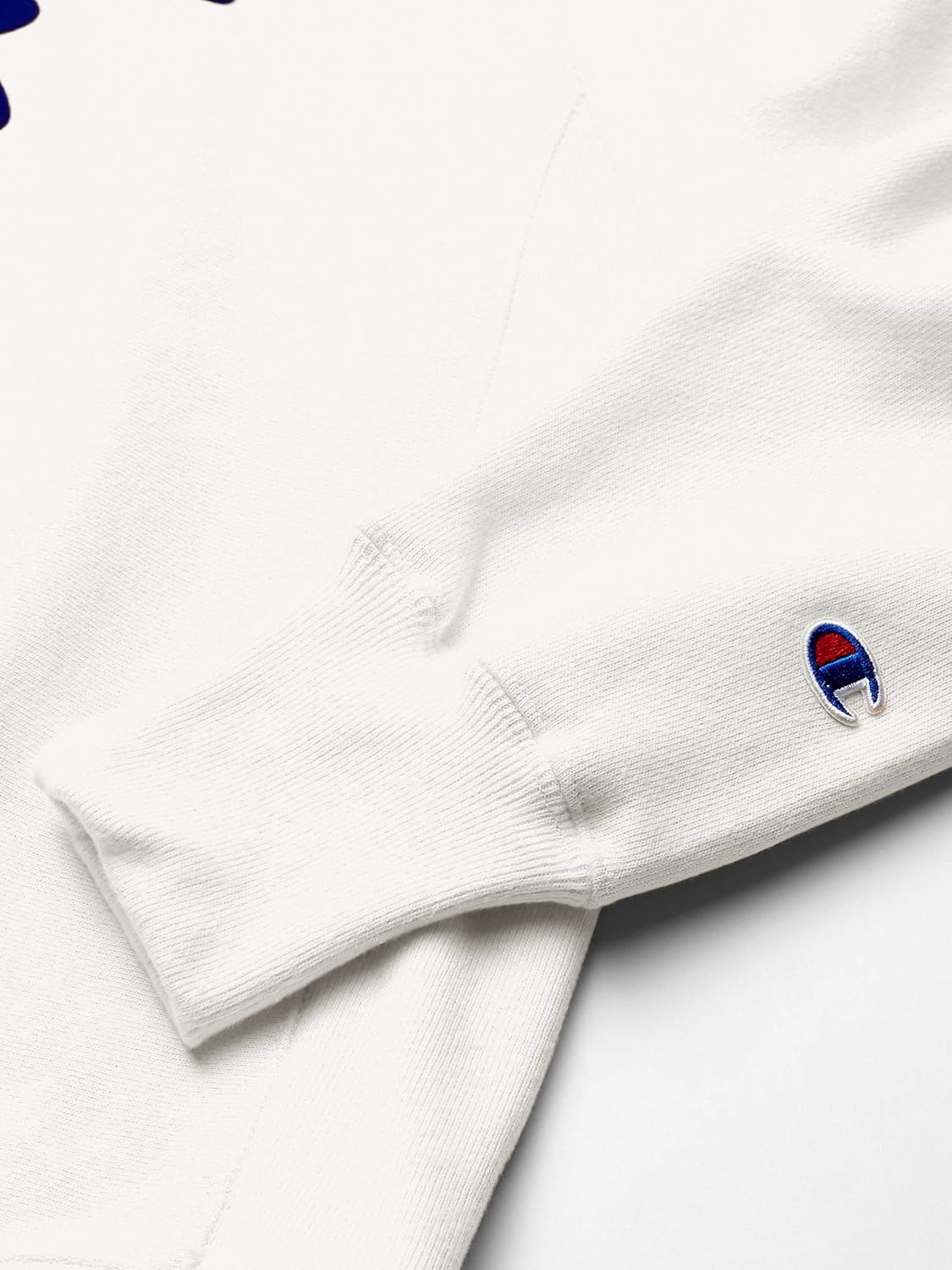 Champion LIFE Men's Reverse Weave Crew-Oversized Flock Script: Clothing