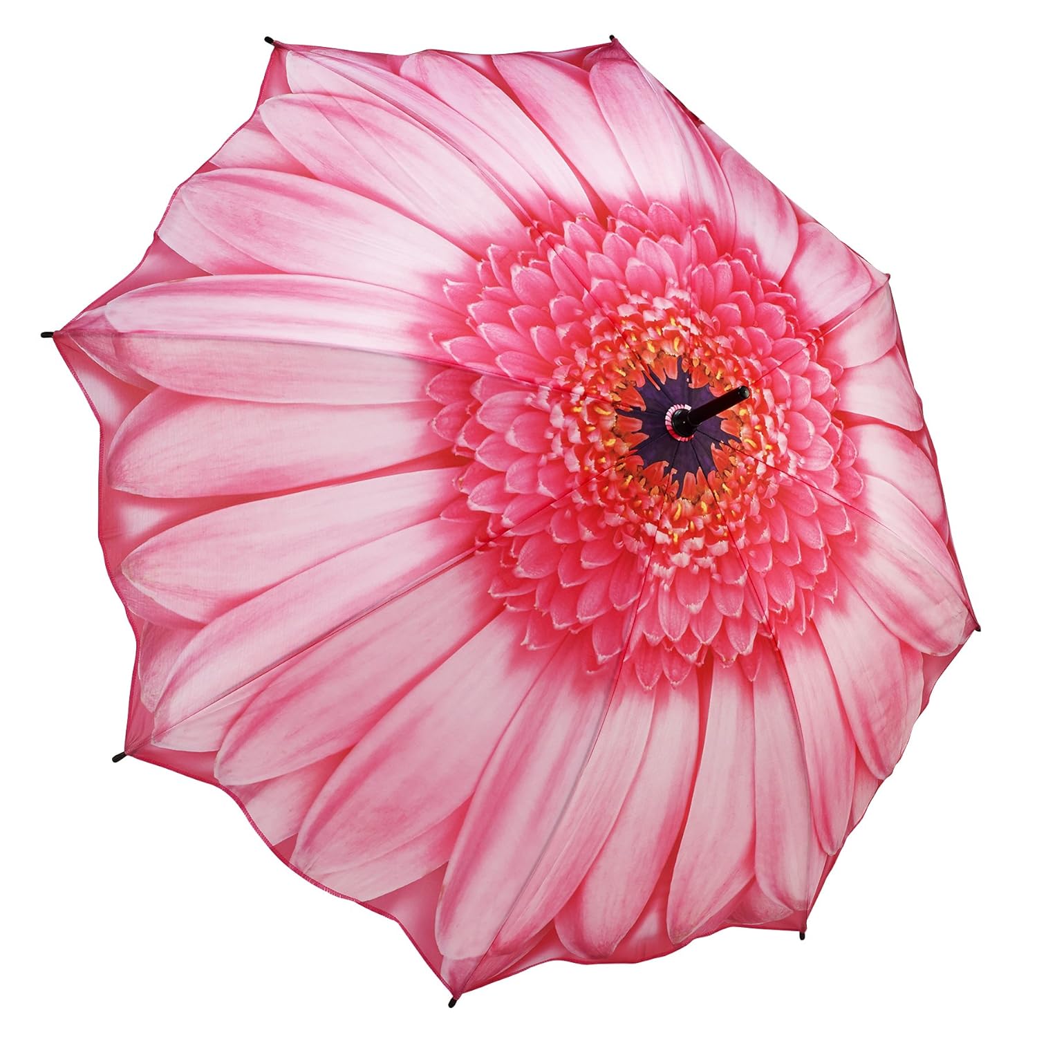 Galleria Floral Stick Umbrellas (Gerbera Daisy) Amazon.co.uk Luggage