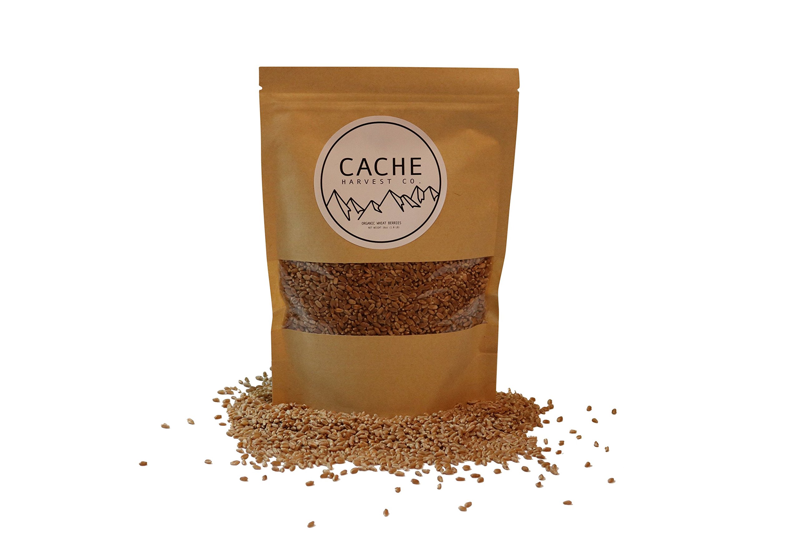 Organic Soft White Wheat Berries, 2 Pounds (USDA Organic