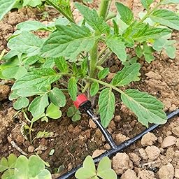 Xddias Sistema de Riego por Goteo, 30m Automático Riego Manguera ...