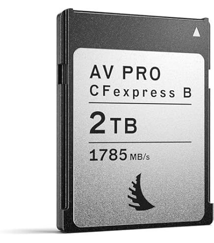 【新品未開封】NX-B2PRO CFexpress Type B 165 GB NX-B2PRO Series｜CFexpress™ 4.0 CFexpress Type B Memory Card