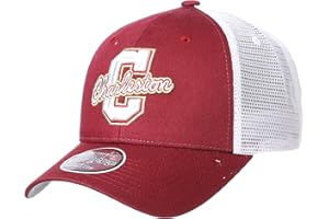 Zephyr Men's Adjustable Snapback Hat Big Rig