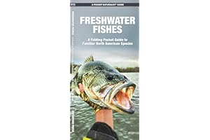 Freshwater Fishes (Nature Observation North America)