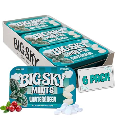 Amazon.com : Myntz Sugar Free Mints in a Tin, Wintermint 2 Pack