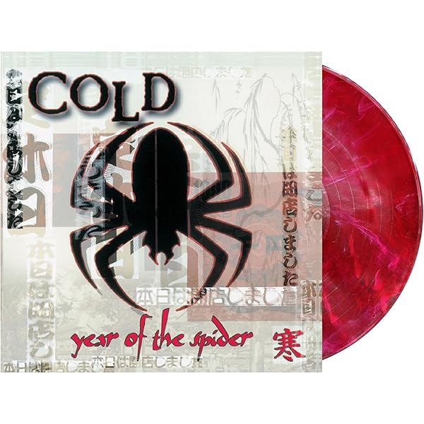 vision of disorder 1st LP 12inch レア盤 vision of disorder 1st LP 12inch レア盤 vision of disorder