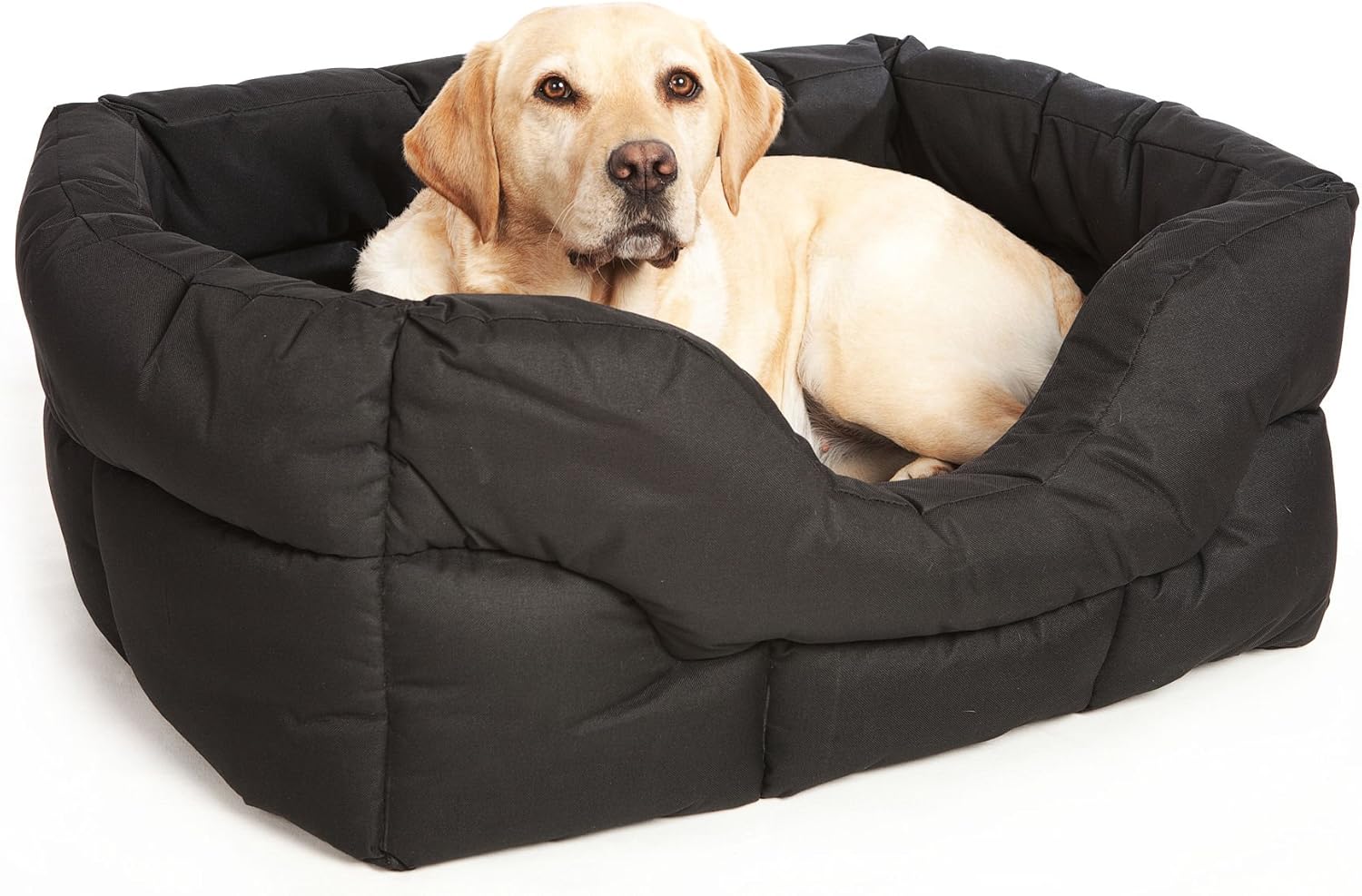 petsmart life jacket