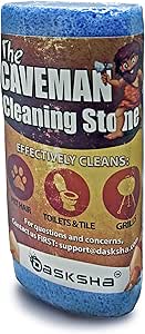 best dog hair remover for car