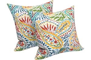 LVTXIII Outdoor Throw Pillow Covers 18 x 18 Inch, Covers ONLY Modern Paisley Pattern Decorative Square Toss Pillow Case Pack of 2 for Home Patio Garden Sofa Bed Furniture, Paisley Multi