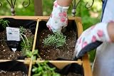 VegTrug 8 Pocket Herb Planter Natural – Raised Bed for Herbs view 13